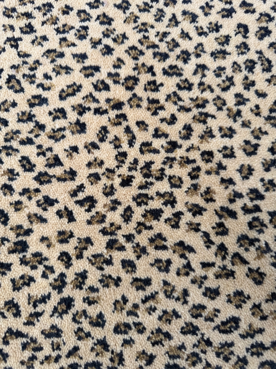 The carpet itself