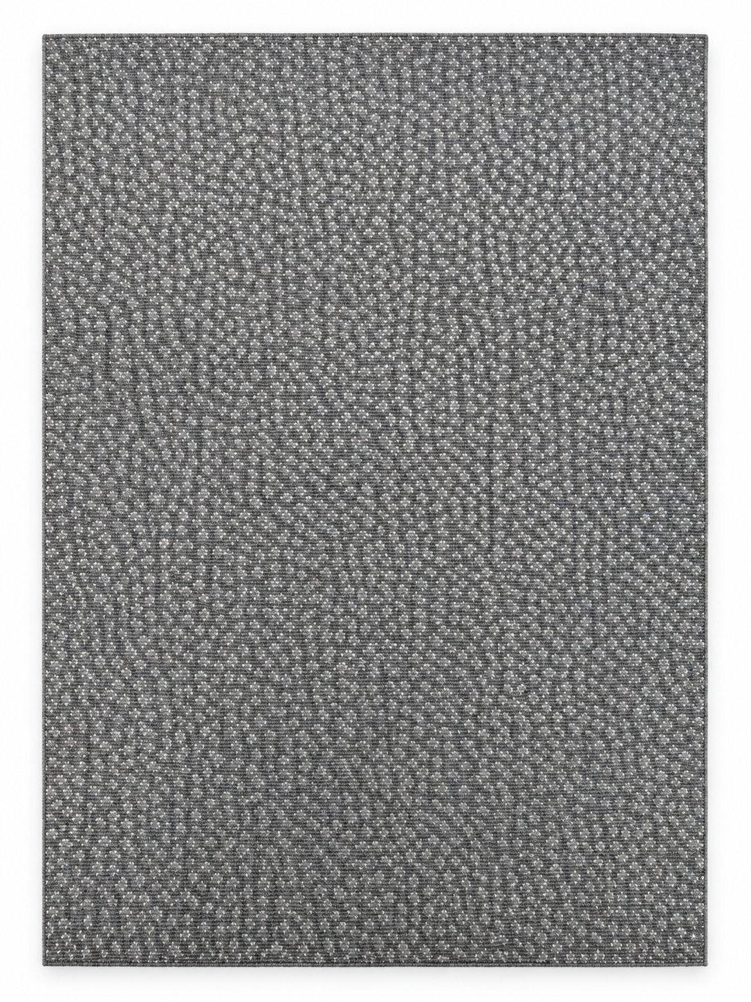The carpet itself